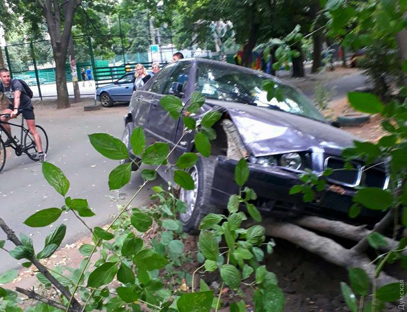 Авария в Одессе: таксист на BMW снес дерево во дворе. Фото